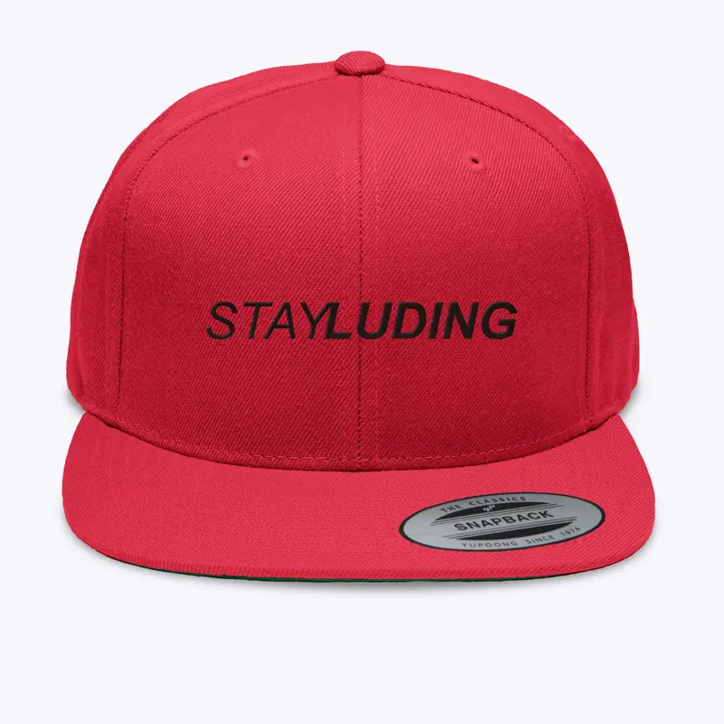 StayLuding Snap Back Hat